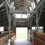 View of the hog barn interior. View of the hog barn interior.